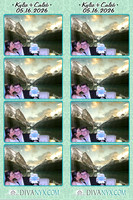127587-strip