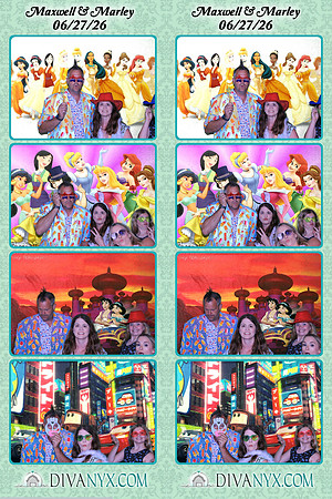 129205-strip
