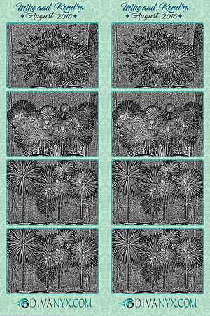 105661-strip