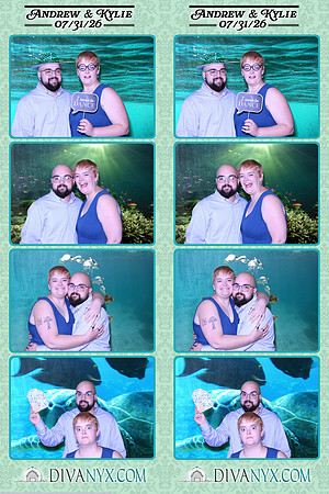 130653-strip