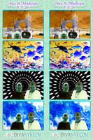 131348-strip