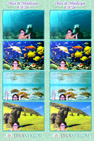 131342-strip