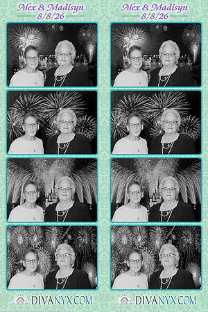 131352-strip