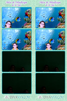 131371-strip