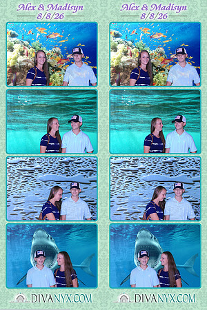 131380-strip