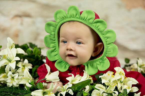 Newborn and baby photos