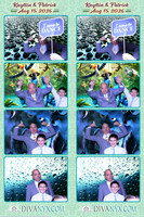 131684-strip