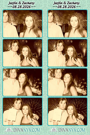 132053-strip