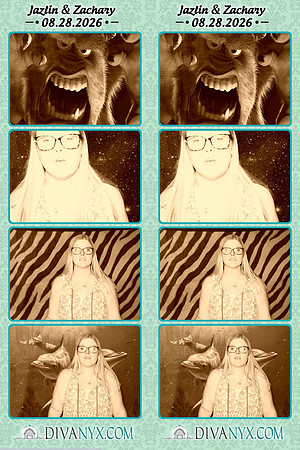 132071-strip