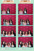 105874-strip