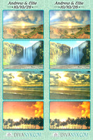 134208-strip
