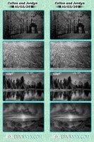 133816-strip
