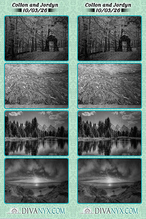 133816-strip