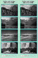 133804-strip