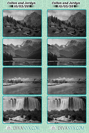 133804-strip