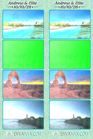 134204-strip
