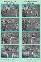134220-strip