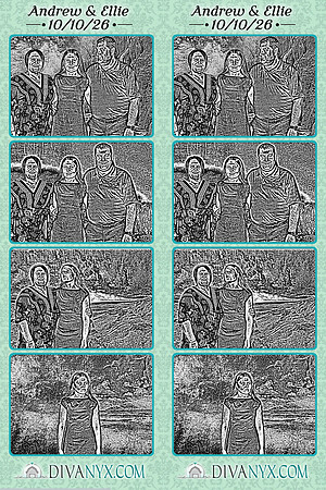 134220-strip