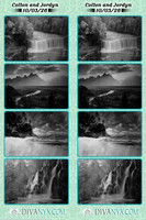 133808-strip