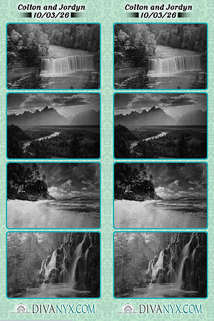 133808-strip