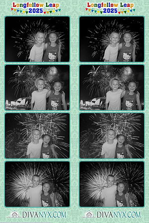 104209-strip