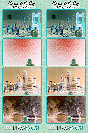 119357-strip