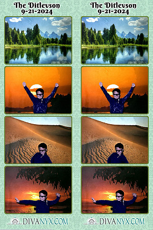 113311-strip