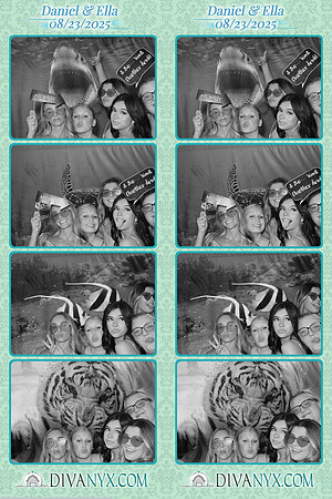 120561-strip