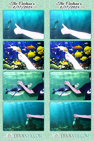109110-strip