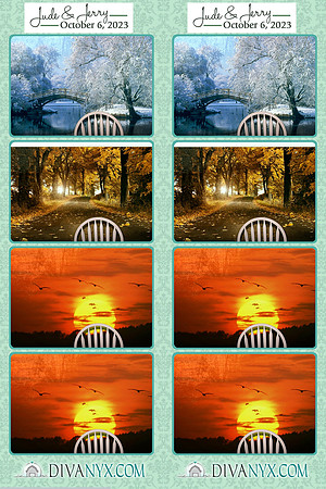 101166-strip