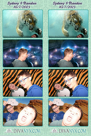 101242-strip