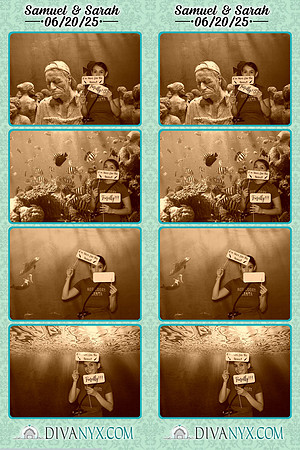 117995-strip