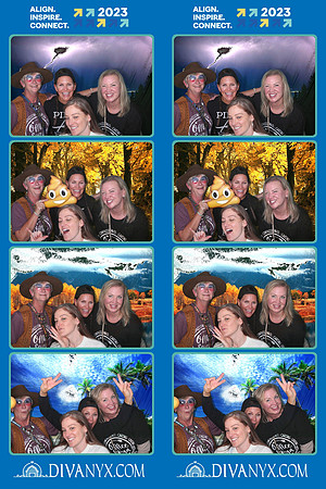 100861-strip