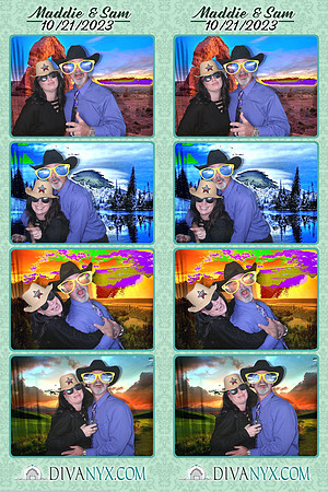 101146-strip