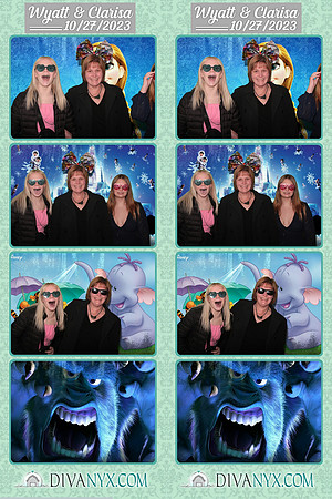 102008-strip