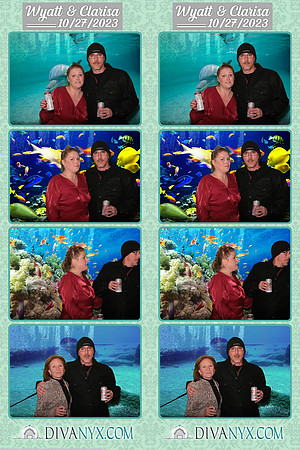 102048-strip