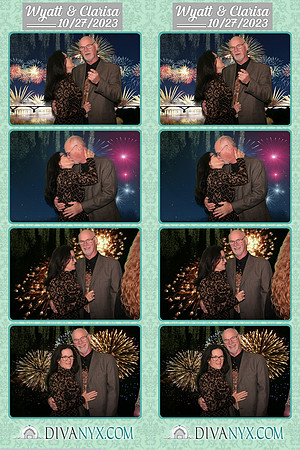 102056-strip