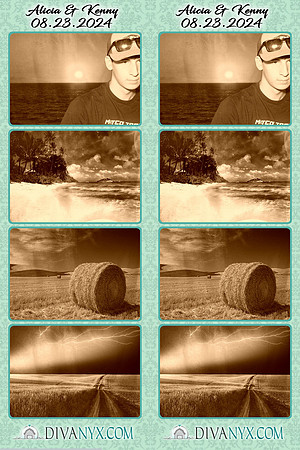 109390-strip