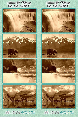109394-strip
