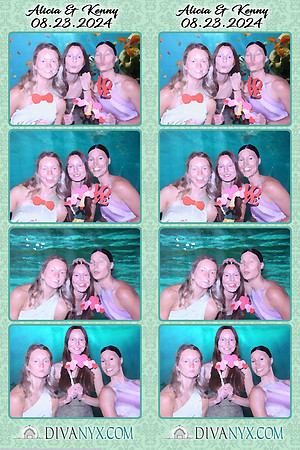 109463-strip
