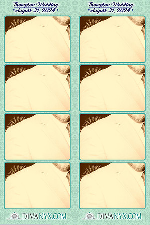 110712-strip