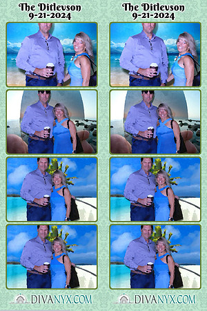 113303-strip