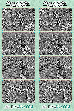 119366-strip