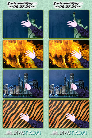 113984-strip