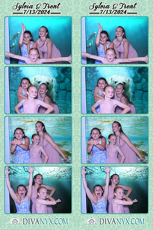 105724-strip
