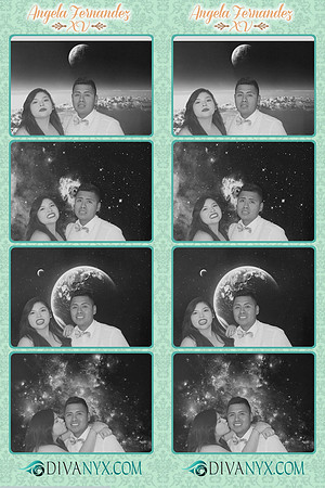 104009-strip