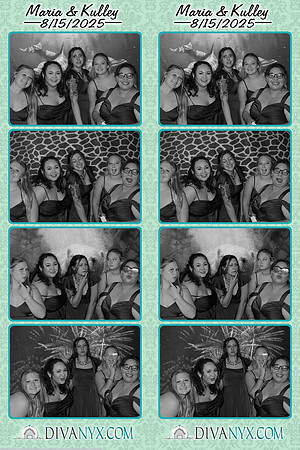 119404-strip