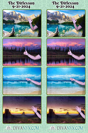 113268-strip