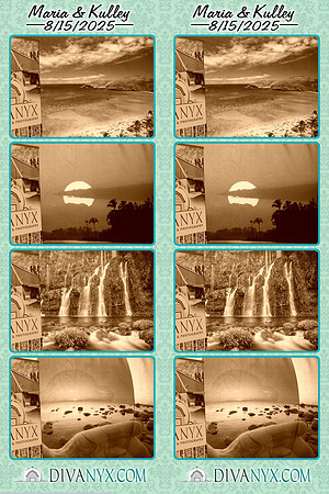 119324-strip