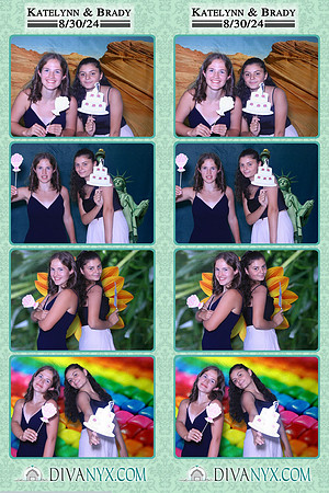 110460-strip